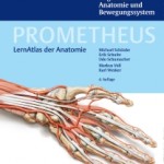 Prometheus Allgemeine Anatomie und Bewegungssystem, 4. Auflage