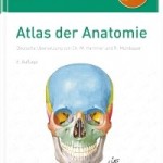 Atlas der Anatomie, Netter