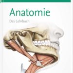 Sobotta Lehrbuch Anatomie