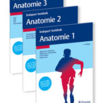 Die Endspurt-Reihe Anatomie als Vorbereitung für das Physikum.