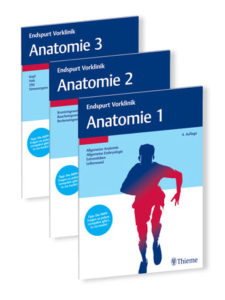Die Endspurt-Reihe Anatomie als Vorbereitung für das Physikum.