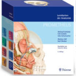 PROMETHEUS LernKarten der Anatomie