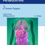 Taschenatlas Anatomie: Innere Organe von Thieme