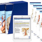 Mit dem PROMETHEUS LernPaket Anatomie von Thieme erhält man die wichtigsten Bücher der Vorklinik in einem Paket.