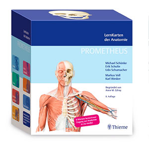 Lest unsere Rezension der Prometheus Lernkarten der Anatomie.