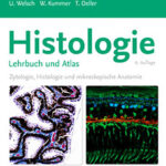 Seit September 2022 gibt es den "Welsch" in der 6. Auflage.