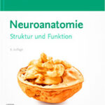 An vielen Unis ein Standardwerk in der Vorklinik: Das Lehrbuch "Neuroanatomie" von Martin Trepel.