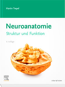 An vielen Unis ein Standardwerk in der Vorklinik: Das Lehrbuch "Neuroanatomie" von Martin Trepel.