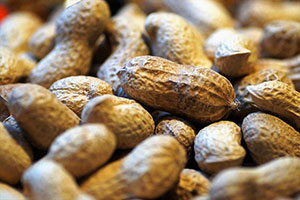 Der Verzehr von Erdnüssen kann für manche Menschen lebensbedrohlich sein.