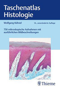 Kompakt, bildstark und ideal fürs Studium? In unserer Rezension zeigen wir die Stärken des Taschenatlas Histologie auf, beleuchten aber auch seine Schwächen.